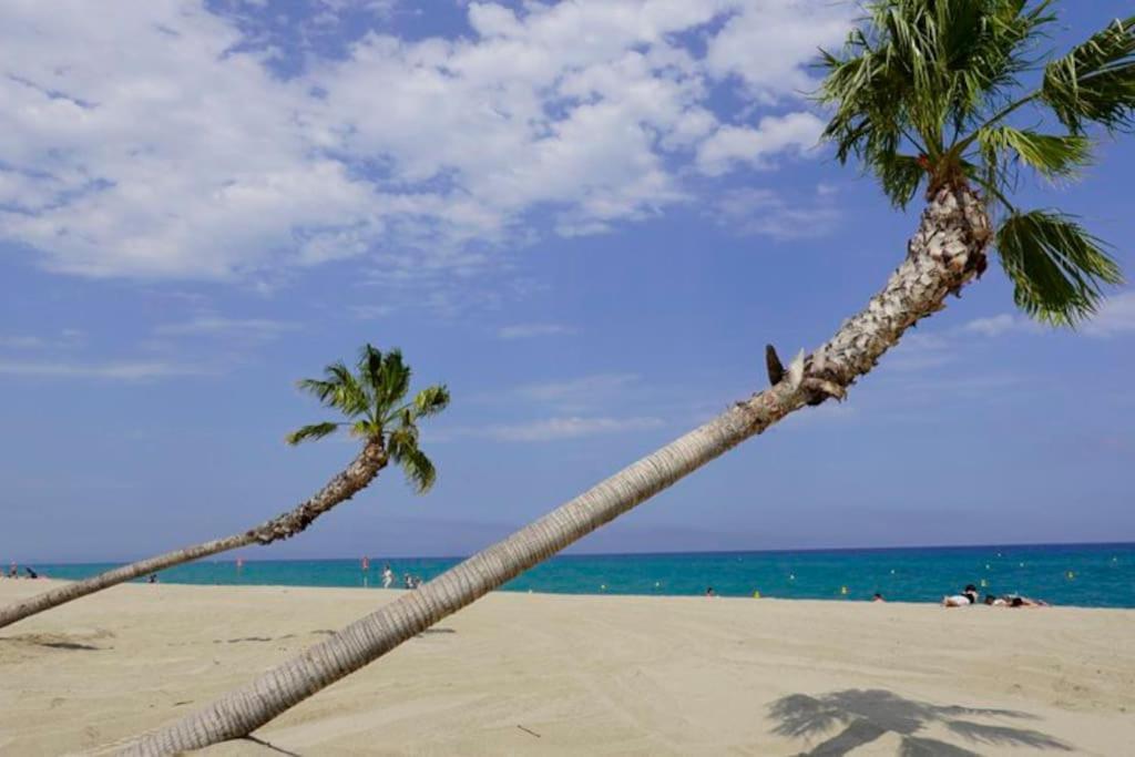 A 500 M De La Plage, Tout Confort Avec Wifi Le Barcarès Eksteriør bilde